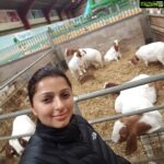 Bhumika Chawla Instagram - The best farm trip i have had in Skipton # a must see