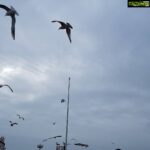 Bhumika Chawla Instagram - Birds # taking to the sky