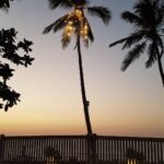 Bhumika Chawla Instagram - Different hues of nature