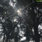 Bhumika Chawla Instagram - May the sunshine through everything