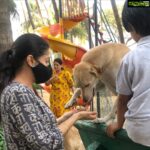 Bhumika Chawla Instagram – Until one has loved an animal .. a part of one’s soul remains unawakened — Anatole France