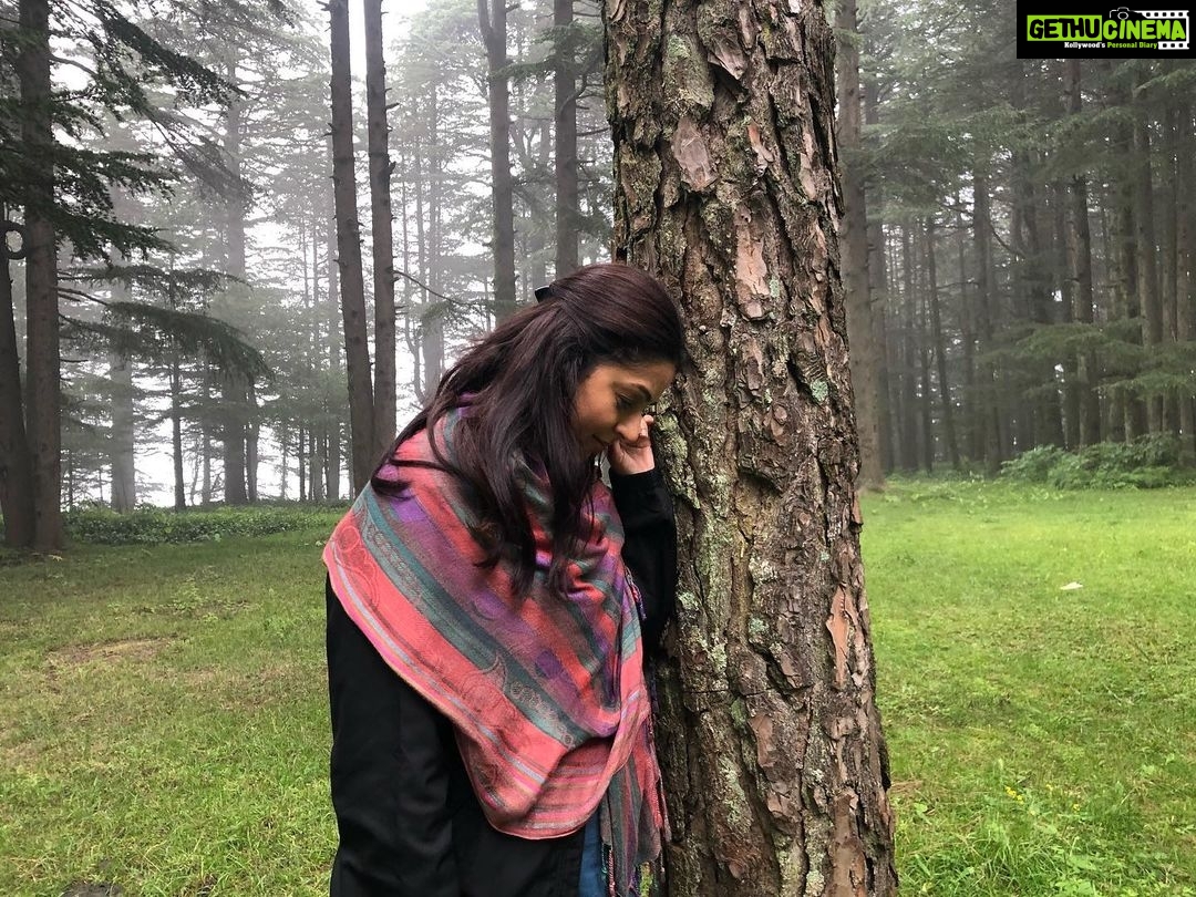 Bhumika Chawla Instagram - Khul ke Jeene ka tareeka tumhe sikhate hai .... 😊 has ke dekho na Lateefa tumhe Sunate hai 🌻 what a lovely song 🎵 DIL BECHARA-ORIGINAL