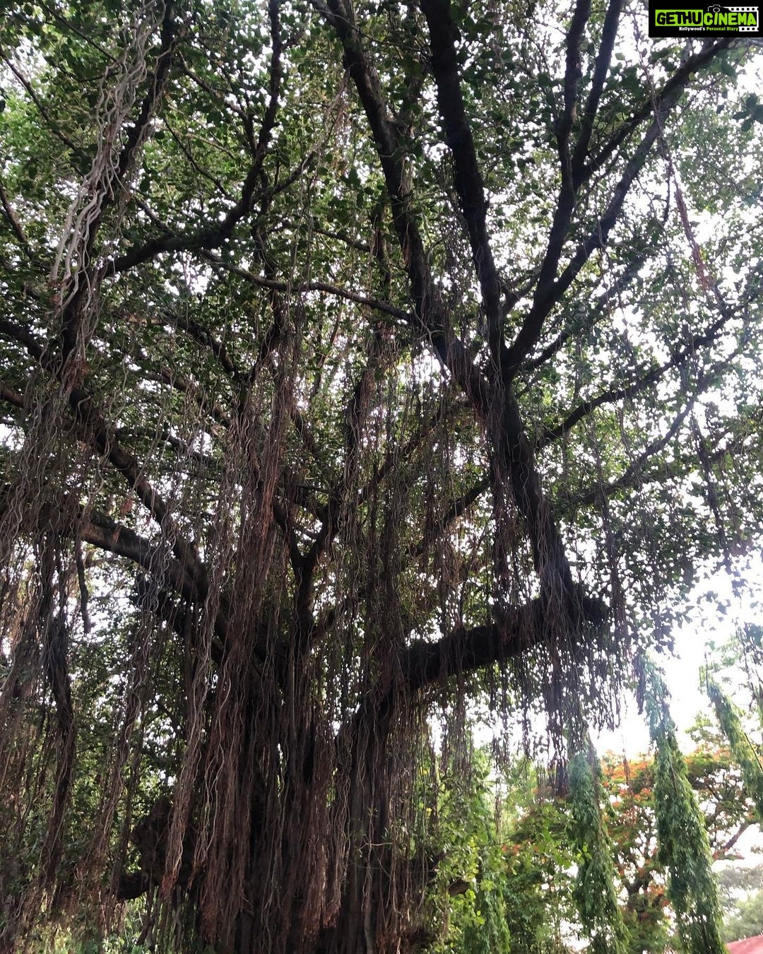 Bhumika Chawla Instagram - Nature nothing can give you more peace than that