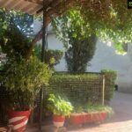 Bhumika Chawla Instagram - Morning sunshine 😊