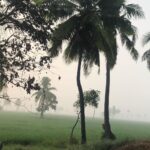 Bhumika Chawla Instagram - NATURE ... Nothing in the world can make one feel more peaceful and happy .. Rajamundry... a small city in the East Godavari District ... and then one gets back to where one lives ... leaves part of oneself with nature and gets back to the Real world ... or is this unreal where we live .. fast paced city life ... ... The two faces of the world .. natural and man made ... life in the fast track ... Moving on