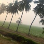 Bhumika Chawla Instagram - NATURE ... Nothing in the world can make one feel more peaceful and happy .. Rajamundry... a small city in the East Godavari District ... and then one gets back to where one lives ... leaves part of oneself with nature and gets back to the Real world ... or is this unreal where we live .. fast paced city life ... ... The two faces of the world .. natural and man made ... life in the fast track ... Moving on