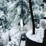 Bhumika Chawla Instagram - #Repost @ekamchail with @make_repost. The peace and beauty of hills shall ever be a part of your soul ... ・・・ " The Snow in winter, The flowers in spring. There is no deeper reality. " - Marty Rubin . . . #snow #snowfall #winter #nature #love #instatravel #wintervacation #forest #ekam #ekamchail #chailover #houseinhills #luxuryhomes #homestay #hills #himachal #paradise #himachalpradesh #himachaldiaries #india #incredible