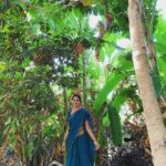 Bindu Madhavi Instagram - Your farm tells a story🌴🌾 #farmerschild #farmlife #organic