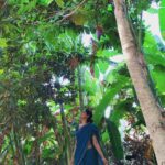 Bindu Madhavi Instagram - Your farm tells a story🌴🌾 #farmerschild #farmlife #organic