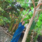 Bindu Madhavi Instagram - Your farm tells a story🌴🌾 #farmerschild #farmlife #organic