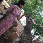 Bindu Madhavi Instagram - Oh deer 🦌