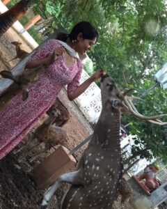 Bindu Madhavi Instagram - Oh deer 🦌