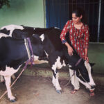 Bindu Madhavi Instagram - Holy cow....... 🐄🐮🦆💫 :)))