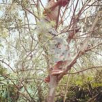 Bindu Madhavi Instagram - When I asked mom to make drumstick sambar.... this is what she asked me to do to haveit..... #villagestyle #villagemarket #drumstickcustom