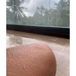 Bindu Madhavi Instagram - Feels..... #rainyday #chennai