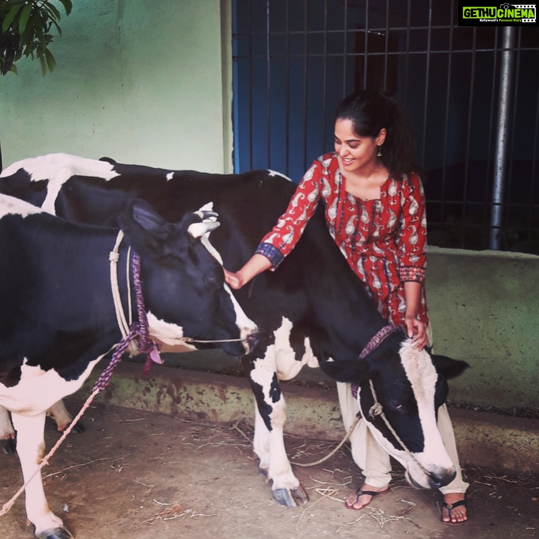 Bindu Madhavi Instagram - Holy cow....... 🐄🐮🦆💫 :)))