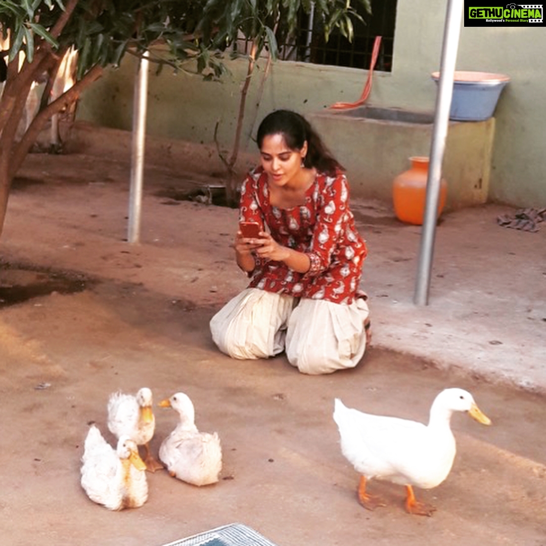 Bindu Madhavi Instagram - Holy cow....... 🐄🐮🦆💫 :)))