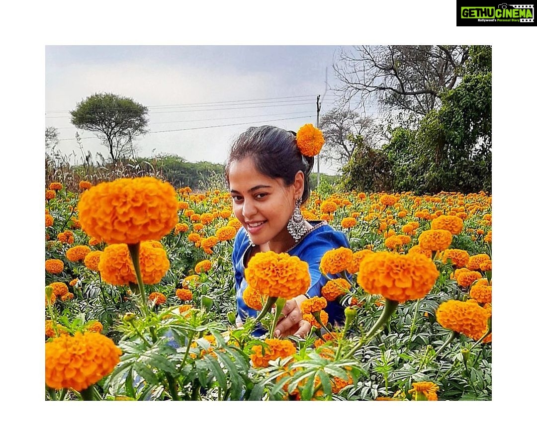 Bindu Madhavi Instagram - Bloom with Grace 🌼🌸 #life #whereever