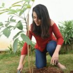 Catherine Tresa Instagram - I've accepted the #HaraHaiTohBharaHai #GreenindiaChallenge and planted 3 saplings at home ☺️. I can't stress enough on the need for us to plant more trees considering the rate at which we are chopping them down. Thank you Santosh garu for coming up with this initiative. Also nominating @worldofsiddharth @atharvaamurali @aryaoffl to plant 3 trees & continue the chain. Requesting all of you to also do your bit and plant a tree wherever you can☺️ #treesgiveusoxygen #plantasapling