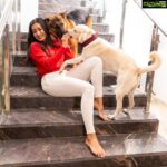 Catherine Tresa Instagram - Wanted so badly for both my boys to sit down and pose nicely for a single decent Christmas picture but all they wanted was the little treat I was holding. Oh well😅