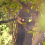 Catherine Tresa Instagram - I love the experience of immersing in nature’s beauty. I am ready to #GlowNaturally with the all new #PalmoliveFacialBar enriched with the goodness of fruit oils and natural extracts. @palmoliveindia #GlowNaturally #PalmoliveFacialBar @palmoliveindia #palmolivegirl