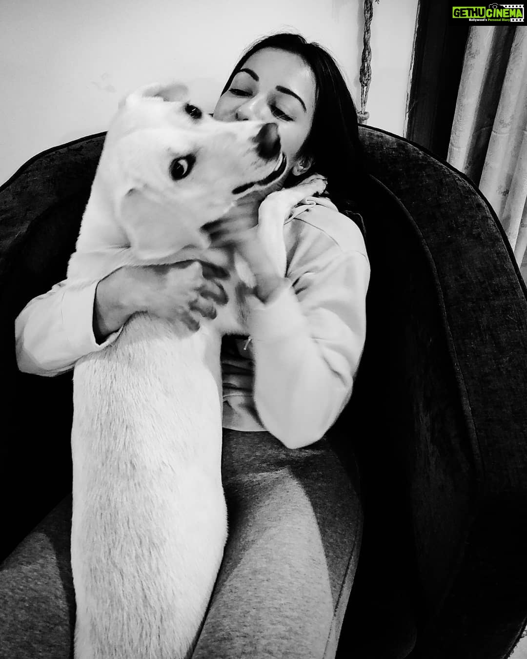 Catherine Tresa Instagram - Welcome home hug from Cooper 😂😂. He always makes sure I know im missed 🤗