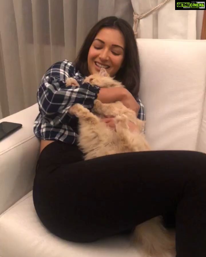 Catherine Tresa Instagram - My Persian baby 😼😼