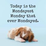 Chandra Lakshman Instagram – #monday #watte