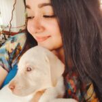 Chandra Lakshman Instagram – Piku boy 💖😘
#moongirl #friendsdog #mydog #cutest #instadaily #dogsofinstagram #labrador