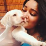 Chandra Lakshman Instagram - Piku boy 💖😘 #moongirl #friendsdog #mydog #cutest #instadaily #dogsofinstagram #labrador