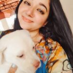 Chandra Lakshman Instagram - Piku boy 💖😘 #moongirl #friendsdog #mydog #cutest #instadaily #dogsofinstagram #labrador