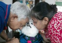 Chandra Lakshman Instagram - Chakku paapa, you have taken a big chunk of our hearts..Appa Amma Akka Gingu and all your friends will miss you 💔💕