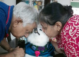 Chandra Lakshman Instagram - Chakku paapa, you have taken a big chunk of our hearts..Appa Amma Akka Gingu and all your friends will miss you 💔💕