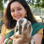 Chandra Lakshman Instagram - INIYA PONGAL NALVAZHTHUKKAL,MAKKALE!!! Have a wonderdul year ahead...🌾🌞🌻🐮 #moongirl #festive #harvestfeatival #Pongal