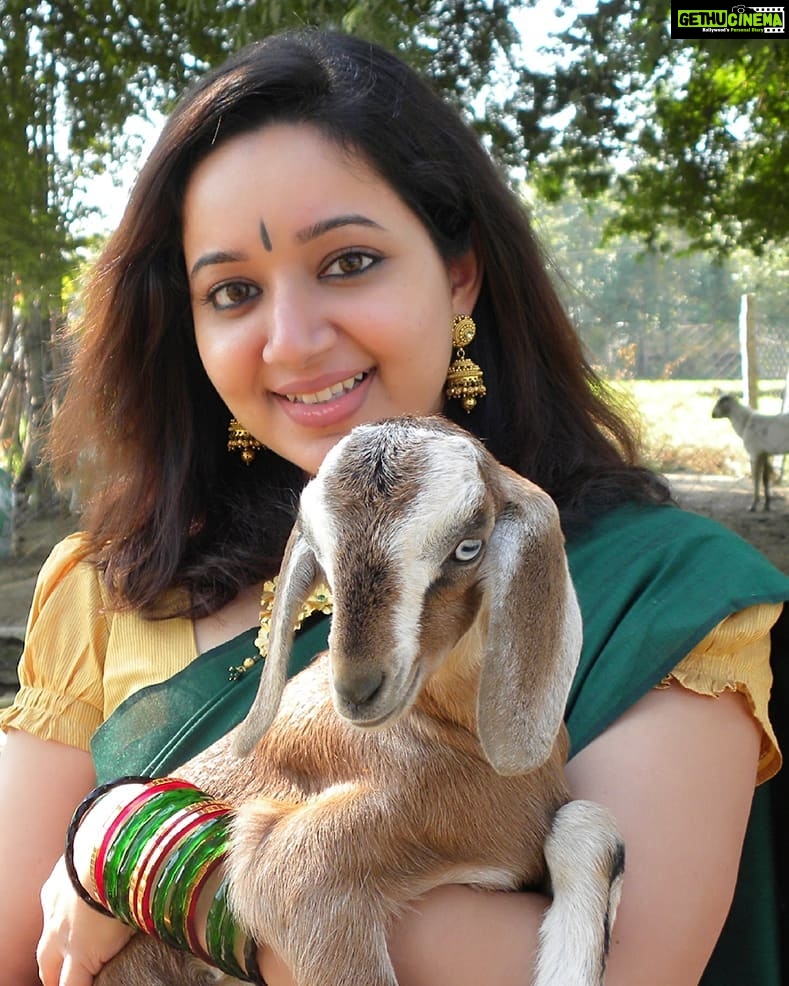 Chandra Lakshman Instagram - INIYA PONGAL NALVAZHTHUKKAL,MAKKALE!!! Have a wonderdul year ahead...🌾🌞🌻🐮 #moongirl #festive #harvestfeatival #Pongal