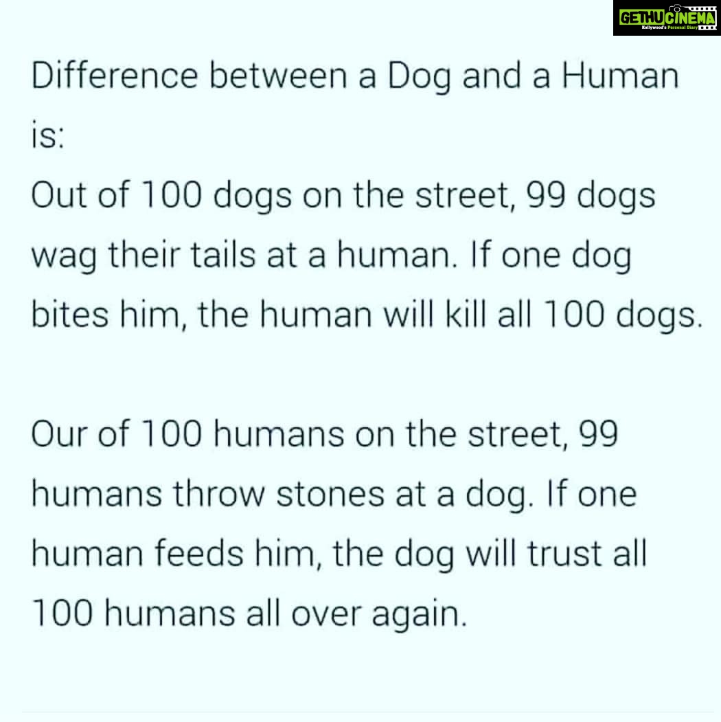 Chandra Lakshman Instagram - #savedogs #stopcruelty #saveanimals #behuman #theylivewithus #saveenvironment #instaanimal #likes #forthispost #spreadaword