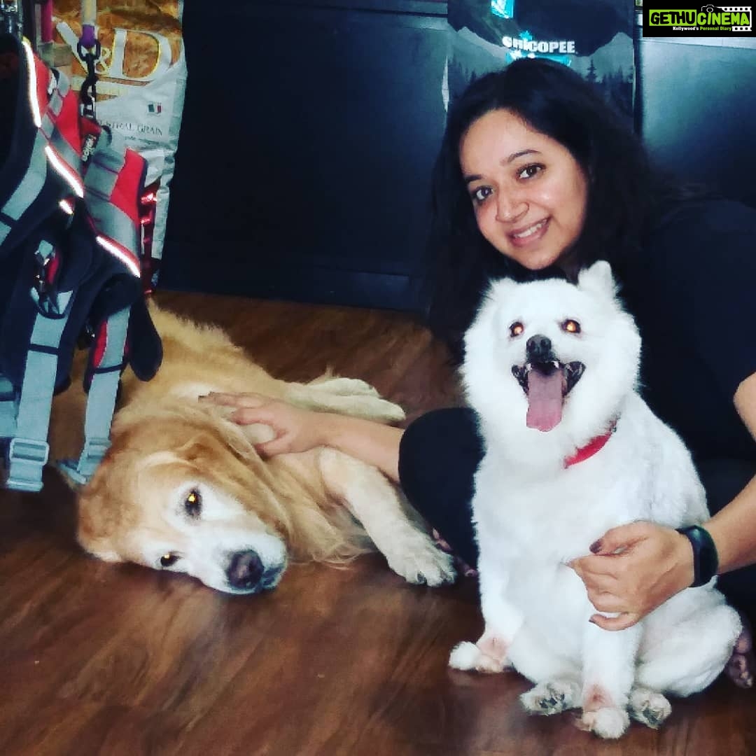 Chandra Lakshman Instagram - Harley-Chakku-MeπππΆ @pets101india @harleyandmehotelfordogs #moongirl #dogsofinstagram #mansbestfriend #πΆ Chennai, India
