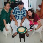 Chandra Lakshman Instagram - Our lil family celebration for Appa 😍 Psst, I baked a cake for him yeeyyyy!! 🍰 Well clearly Chakku and Ginger are ONLY interested in the cake 😂