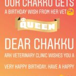 Chandra Lakshman Instagram - Our sweetest Chakkutty celebrates her bday today..And she a gets a cute message from her Vet Clinic..How adorable..!! They have never failed to send her a wish all these years..❤️ #moongirl #ChakkuLakshman #birthdaygal