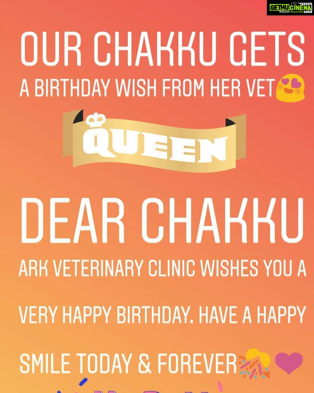 Chandra Lakshman Instagram - Our sweetest Chakkutty celebrates her bday today..And she a gets a cute message from her Vet Clinic..How adorable..!! They have never failed to send her a wish all these years..❤️ #moongirl #ChakkuLakshman #birthdaygal
