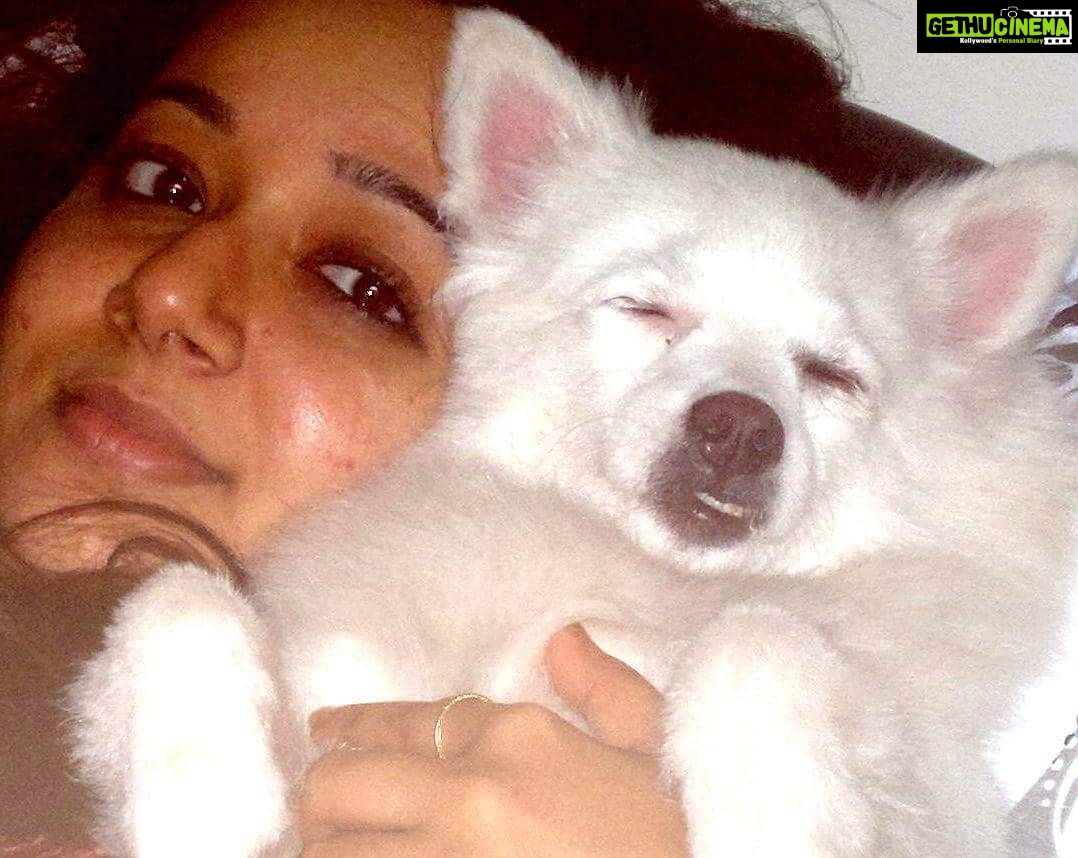Chandra Lakshman Instagram - This is bliss for me.. Yey!😍🐕I guess her's too #angels #dogsareagirlsbestfriend #ourqueen #chakku
