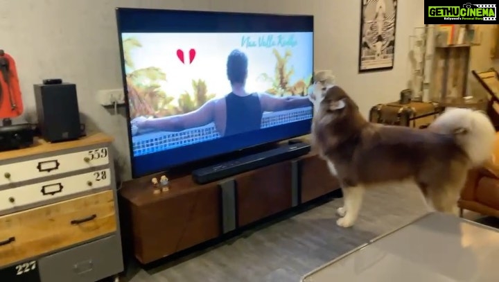 Charmy Kaur Instagram - Have u ever seen a dog singing ?? Our Alaskan Malamute fell in love with #Romantic song ‘Naa valla kaade’ Each time we play it , he sings along with the song 😊 #Romantic in Cinemas from OCT 29th 🥁 @actorakashpuri @ketikasharma @meramyakrishnan #PuriJagannadh @anil.paduri @sunilkashyapwav @vish_666 @junaid.editor @jonnyshaikartdirector @uttejartiste @meesunaina @deviyyani @temper_vamsi @raviawana @nareshkancharana @puriconnects #PCfilm @haashtagmedia @ursvamsishekar #RomanticOnOCT29th
