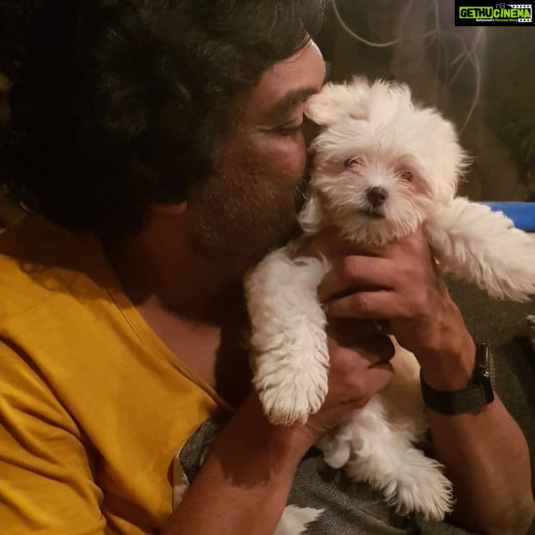 Charmy Kaur Instagram - SEXY Baby turns 1 today .. our bundle of happiness 😘😘 #pets #love 😍 Hyderabad