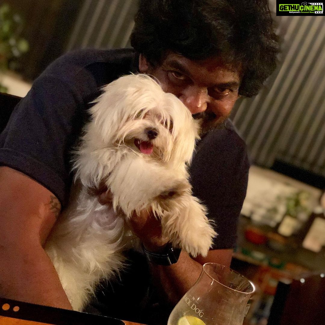 Charmy Kaur Instagram - SEXY Baby turns 1 today .. our bundle of happiness 😘😘 #pets #love 😍 Hyderabad