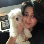 Charmy Kaur Instagram - SEXY Baby turns 1 today .. our bundle of happiness 😘😘 #pets #love 😍 Hyderabad