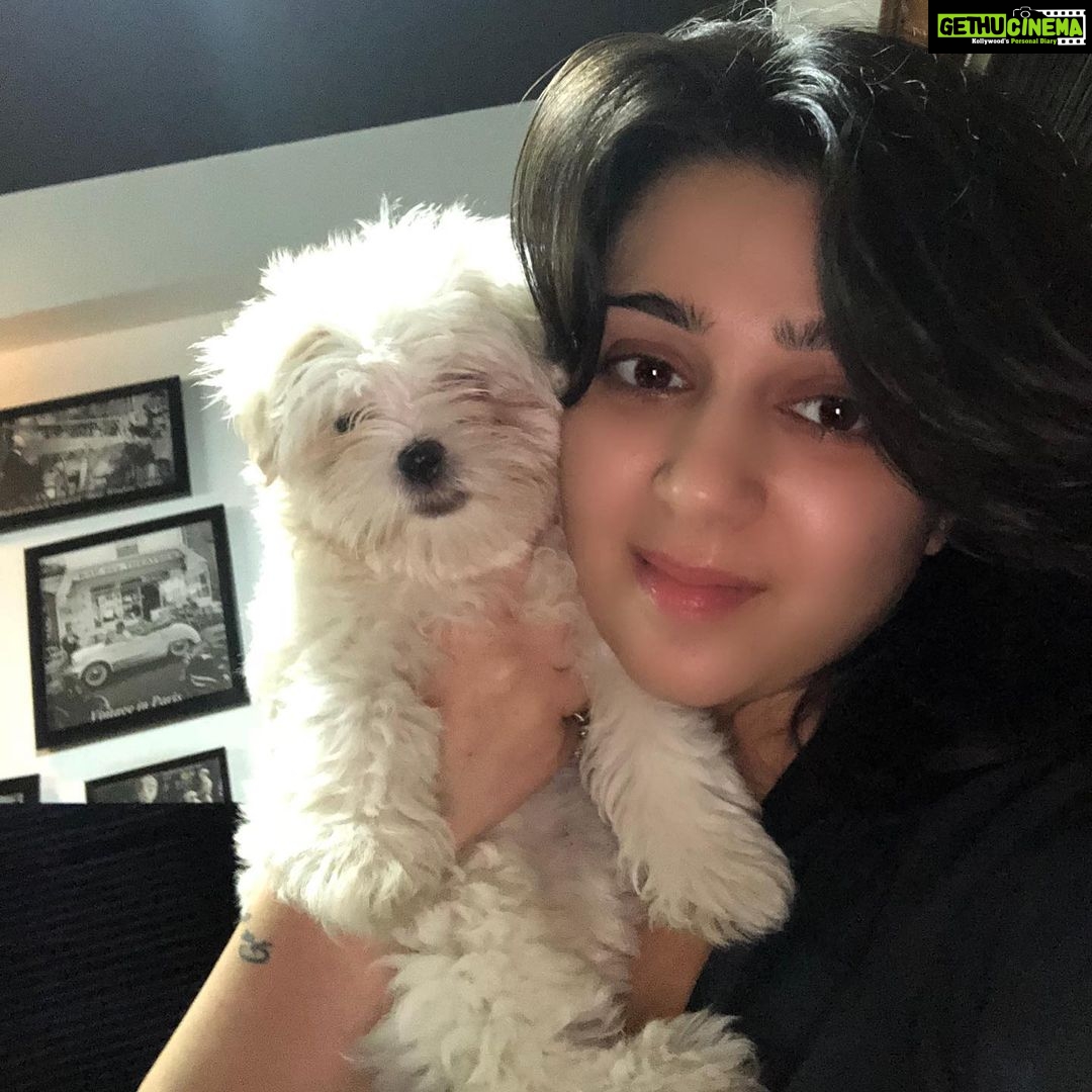 Charmy Kaur Instagram - SEXY Baby turns 1 today .. our bundle of happiness 😘😘 #pets #love 😍 Hyderabad