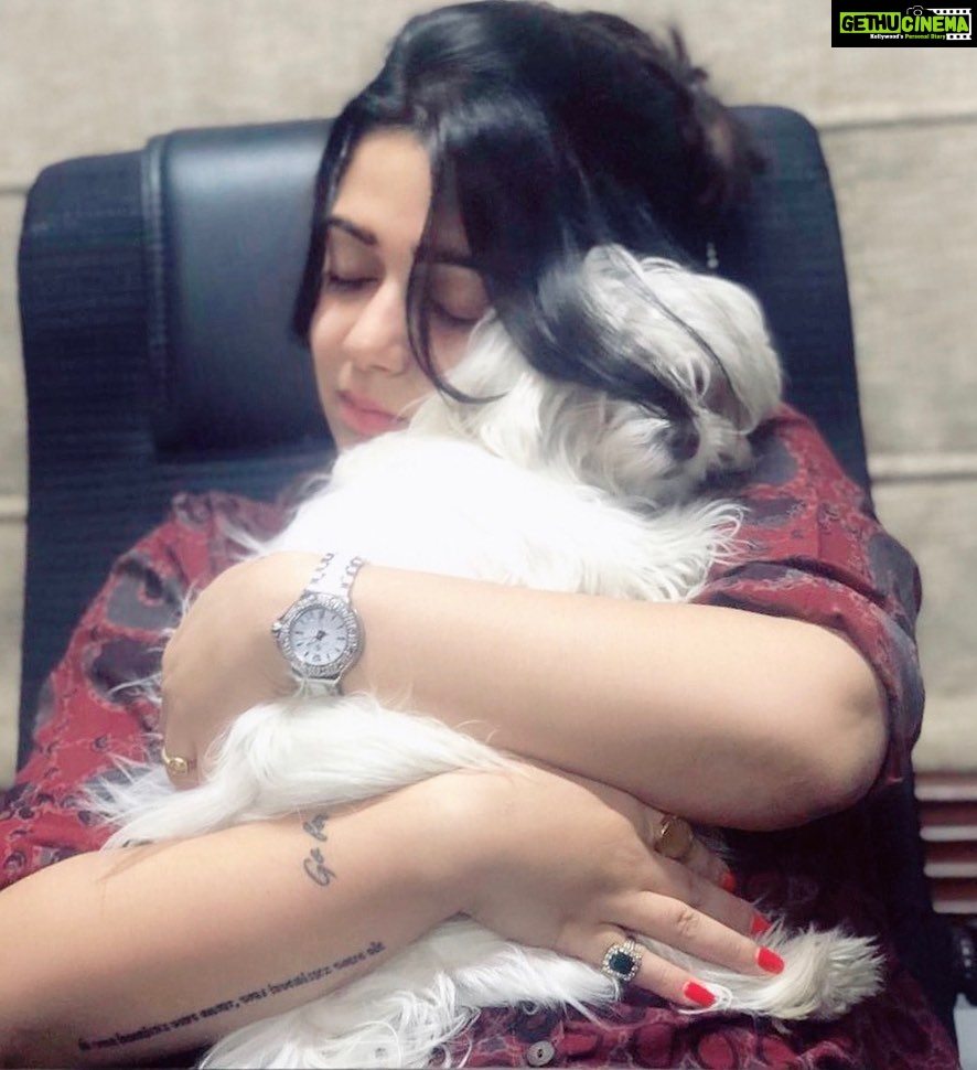 Charmy Kaur Instagram - In between work stress , this is all I need 😍 #hugs #pets #lifeofentrepreneur #ismartshankar #PC