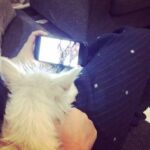 Charmy Kaur Instagram - Anndddddddd this how ITEM sleeps 😂😂😘😘 by watching pet videos on @youtube 😘😘 #petsofinstagram #pets Telangana