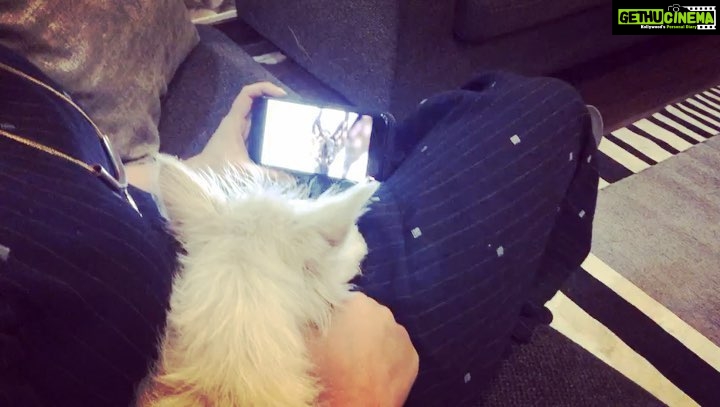 Charmy Kaur Instagram - Anndddddddd this how ITEM sleeps 😂😂😘😘 by watching pet videos on @youtube 😘😘 #petsofinstagram #pets Telangana