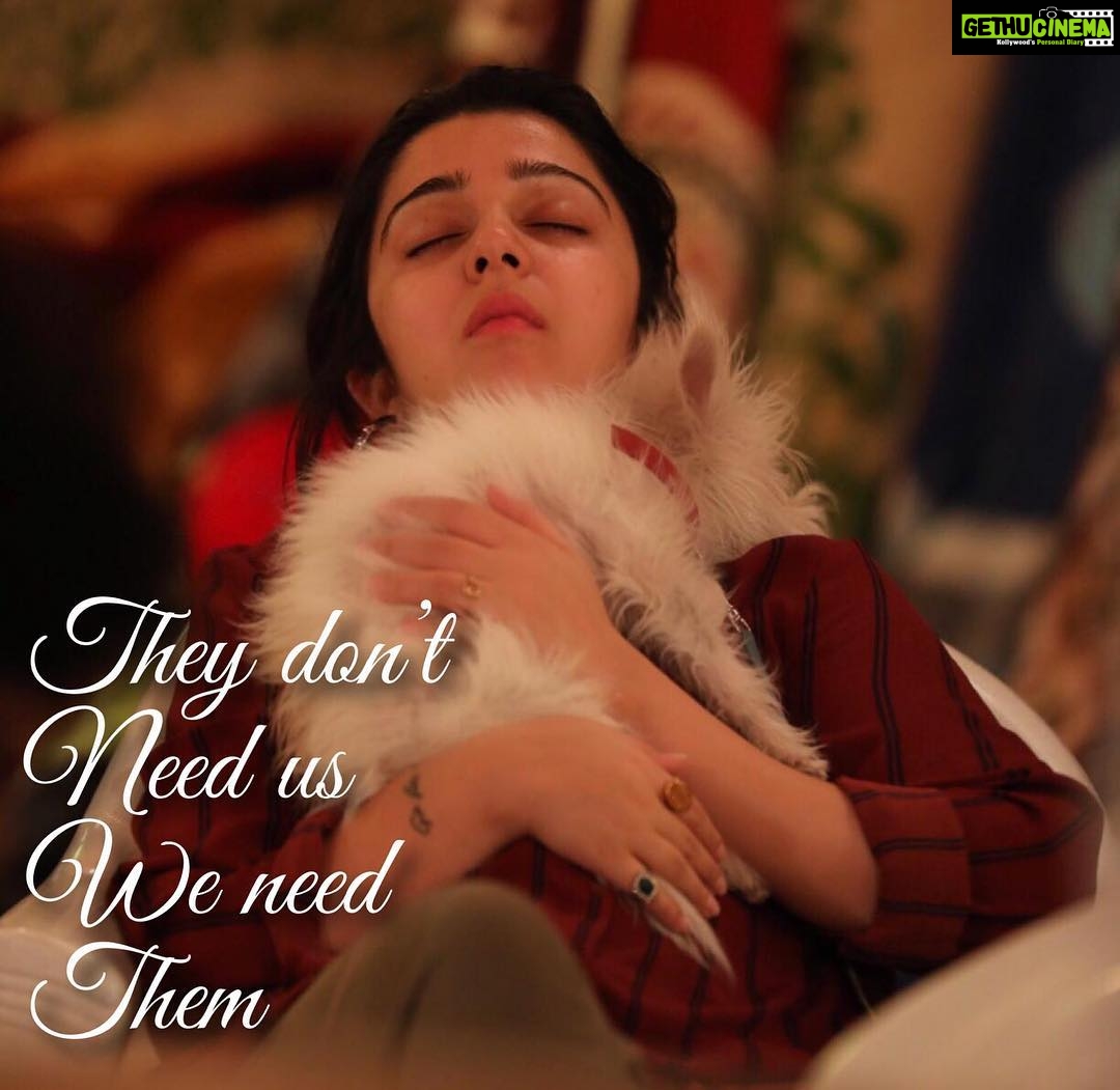 Charmy Kaur Instagram - They don’t need us , we need them ❣️ #love #mybabyboy #pets